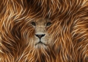 lion, image editing, graphic-360203.jpg